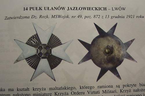 Odd WWI Polish Lancer Badge with design papers