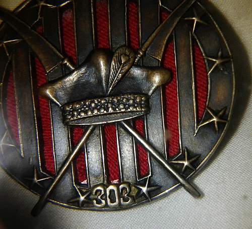 Polish badge 303