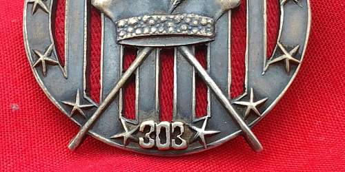 Polish badge 303