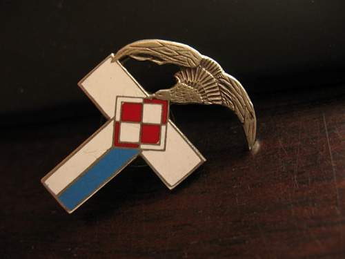 Polish Air Force badge?