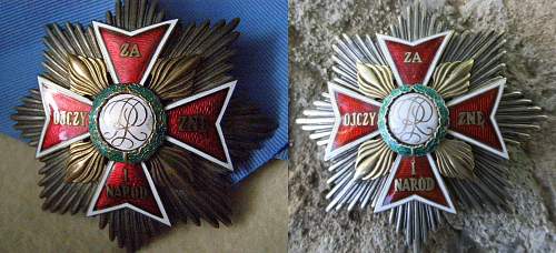 Star of the &quot;Order of the White Eagle&quot;