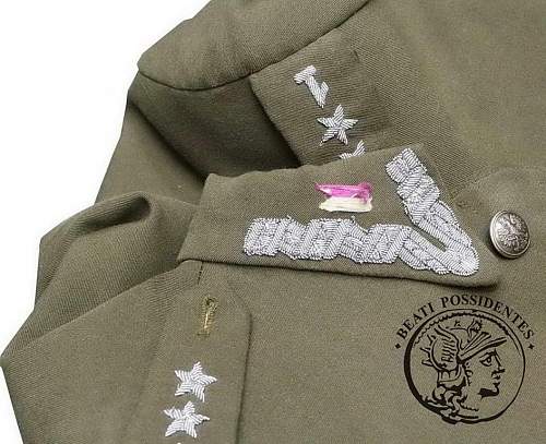 Wz.36 1st Cavalry regiment (1 Pulk Ulanow) Captain's tunic 100% original prewar, please ?