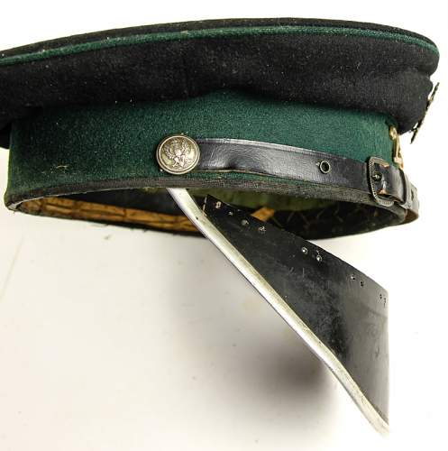 Prewar Polish Policemans (EM version) Prison Guard, Dog Handler's  cap, 100% original prewar, please ?