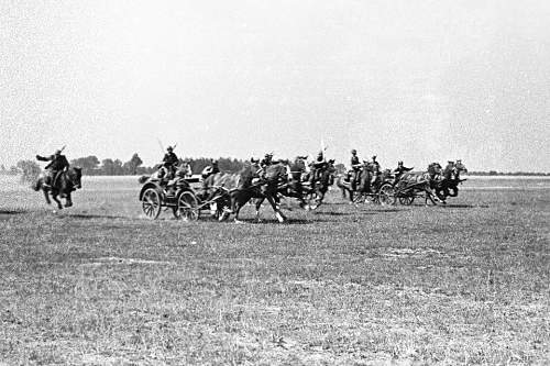 Polish Army 1939 -  unknown photographs