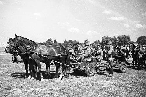 Polish Army 1939 -  unknown photographs