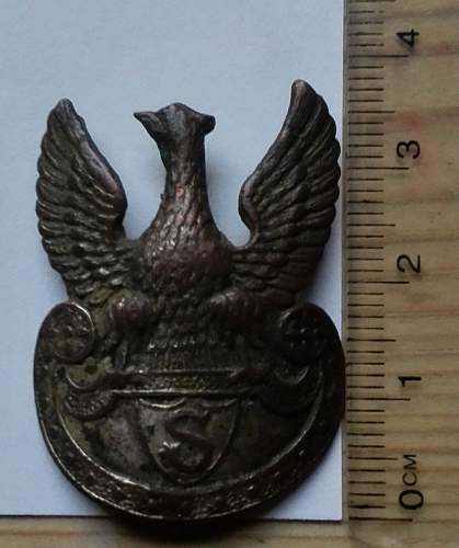 Eagle badge of Rifelmen's Association &quot;Rifelman&quot;(&quot;Strzelec&quot;)