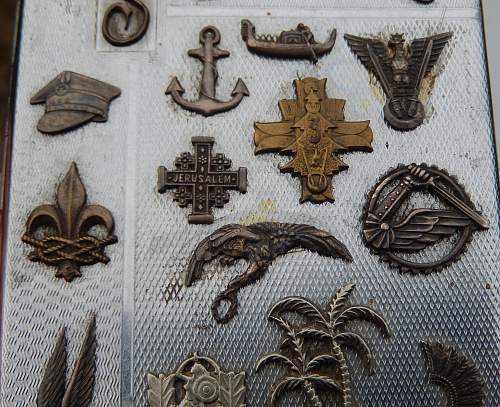 Polish Regimental Badges WW2