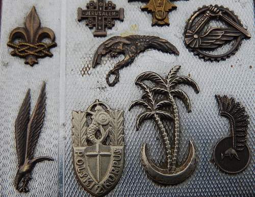 Polish Regimental Badges WW2