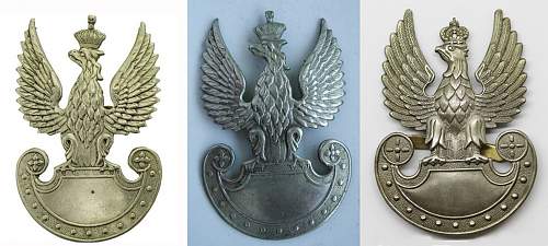 Polish Eagle, What do I have?