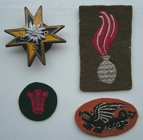 Polish Regimental Badges WW2