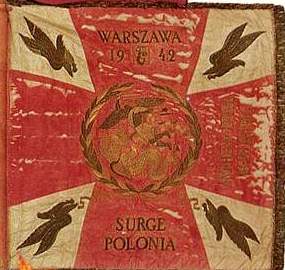 Polish Paratroops Greetings Card