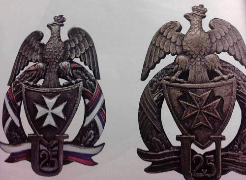 Polish Regimental Badges WW2