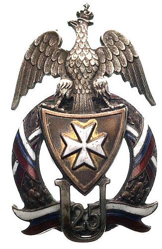 Polish Regimental Badges WW2