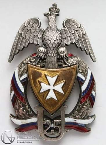 Polish Regimental Badges WW2