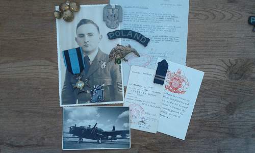 Polish AirForce Badges Gallery