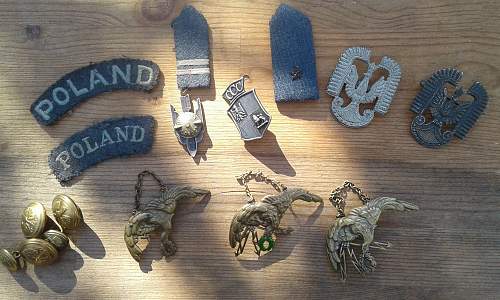 Polish AirForce Badges Gallery