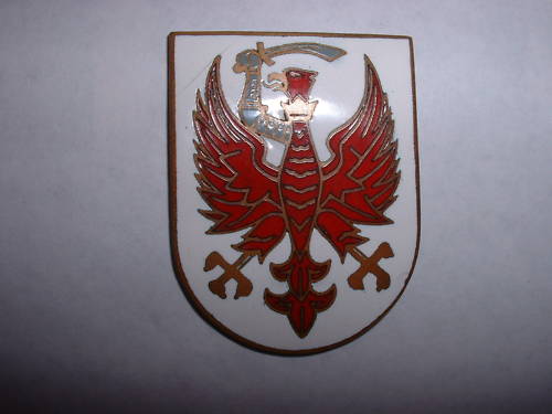 Polish Regimental Badges WW2