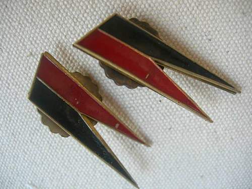 Polish Regimental Badges WW2