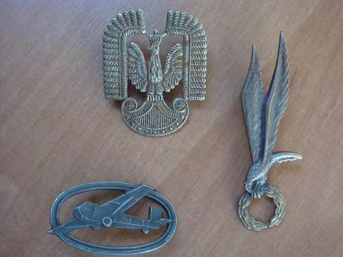 My small WW2 polish badges collection - 1SBS