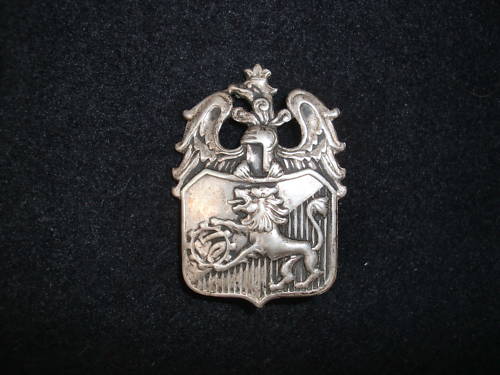 Polish Regimental Badges WW2