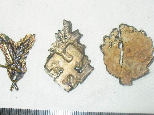 Polish Regimental Badges WW2