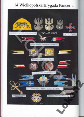 Polish Regimental Badges WW2