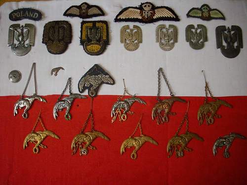 Lets see your Polish Militaria Display!