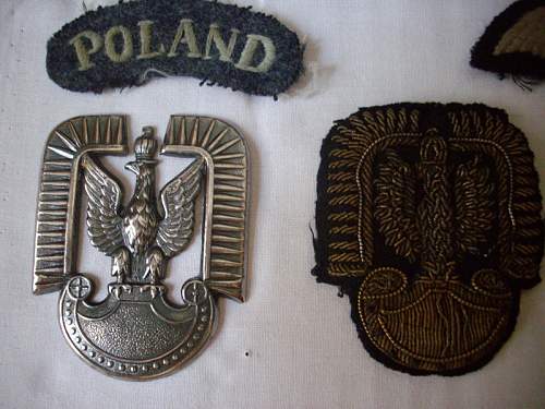 Lets see your Polish Militaria Display!