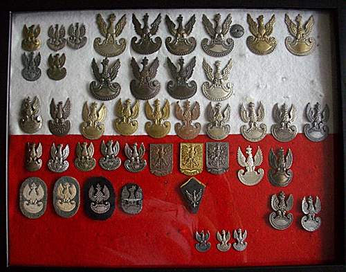 Lets see your Polish Militaria Display!