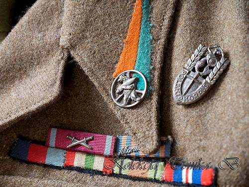 Polish Regimental Badges WW2