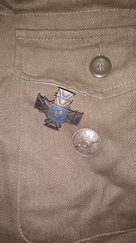 Polish Regimental Badges WW2