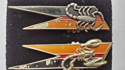 Polish Regimental Badges WW2