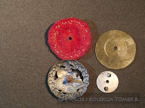 Polish Regimental Badges WW2