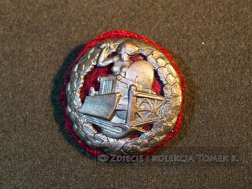 Polish Regimental Badges WW2