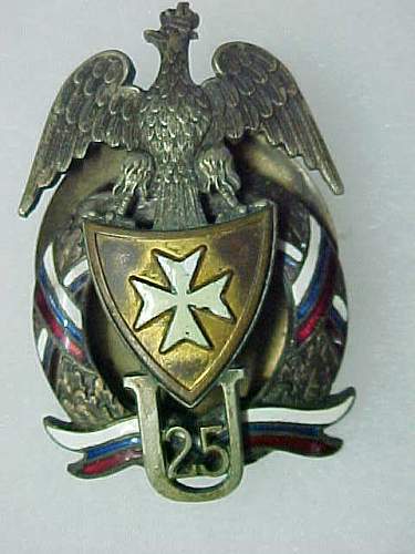 Polish Regimental Badges WW2