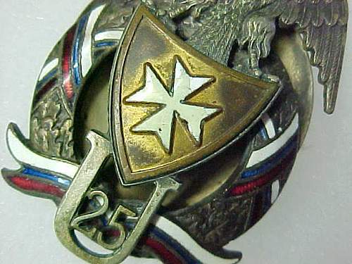 Polish Regimental Badges WW2