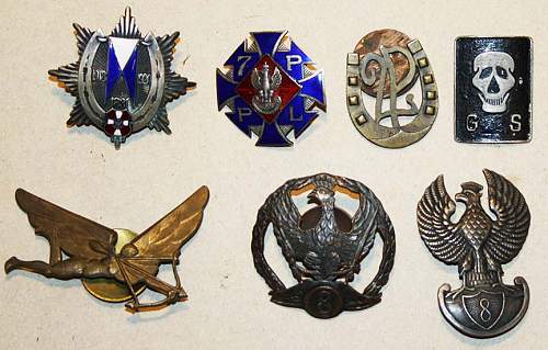Polish Badges for Review