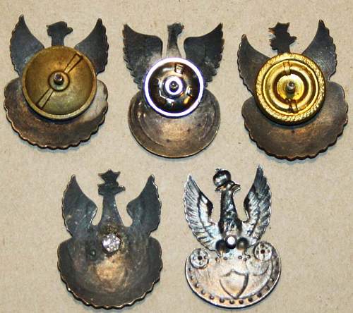 Polish Badges for Review