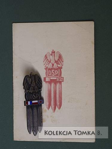 Polish Regimental Badges WW2