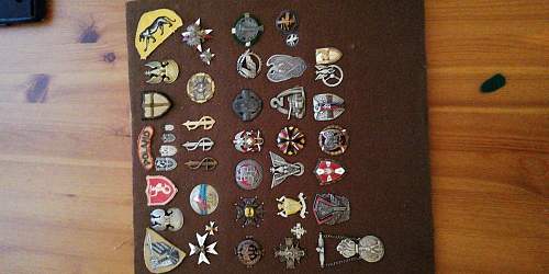 Polish Regimental Badges WW2