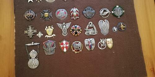 Polish Regimental Badges WW2