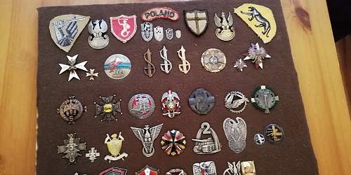 Polish Regimental Badges WW2