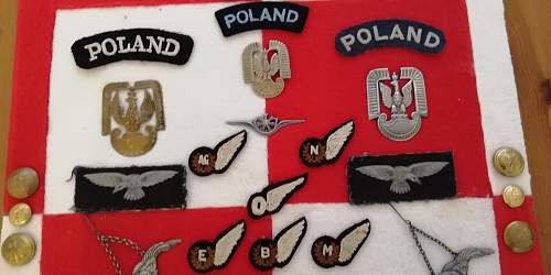 Polish AirForce Badges Gallery