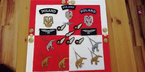 Polish AirForce Badges Gallery