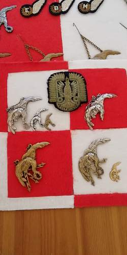 Polish AirForce Badges Gallery