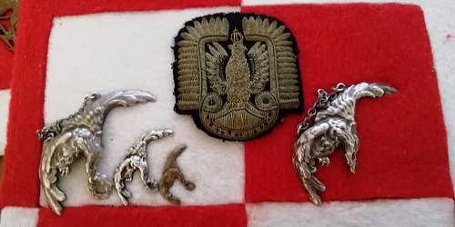 Polish AirForce Badges Gallery