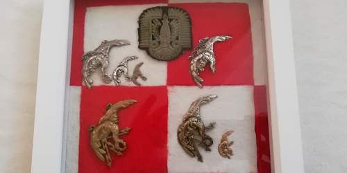 Polish AirForce Badges Gallery