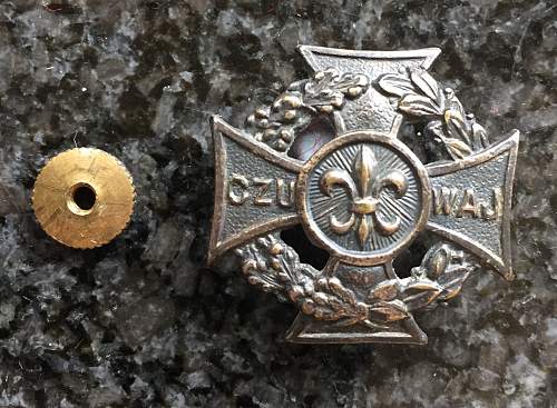 Polish Regimental Badges WW2