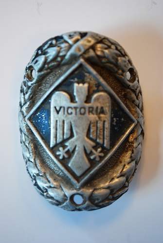 Polish Regimental Badges WW2