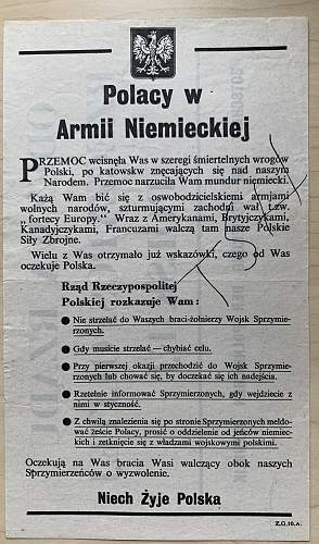 Help Needed! Translation Polish Military records